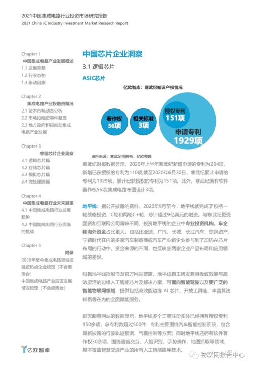 2021年中國集成電路設(shè)計(jì)行業(yè)投資市場研究報(bào)告